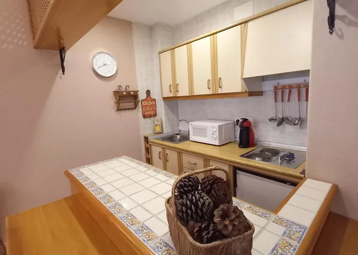 公寓 Plaza Pradollano Edificio Montblanc *