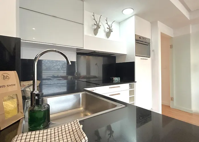 公寓 Plaza Pradollano Edificio Montblanc *